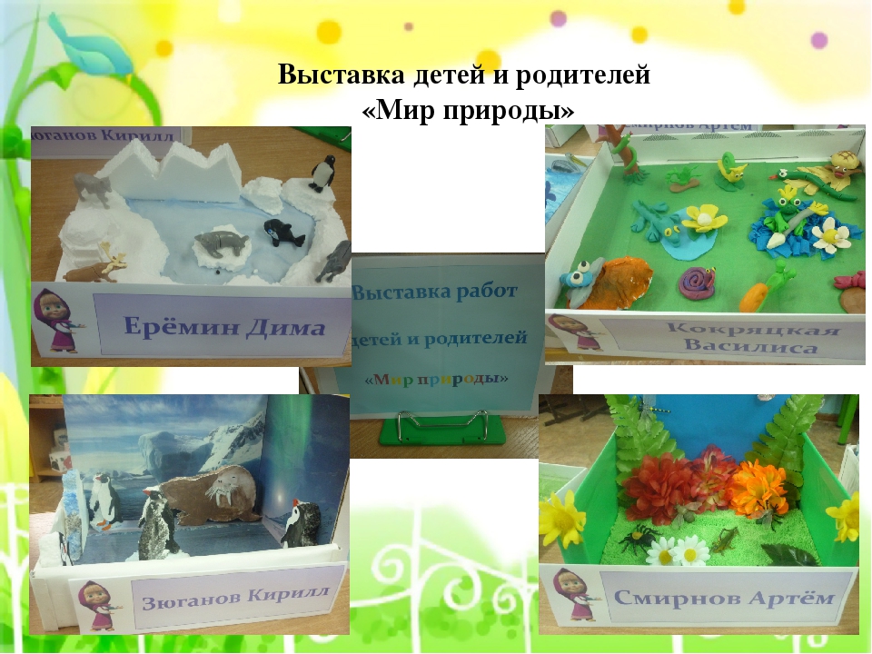 Презентация по экологическому воспитанию"Центр природы средняя группа"