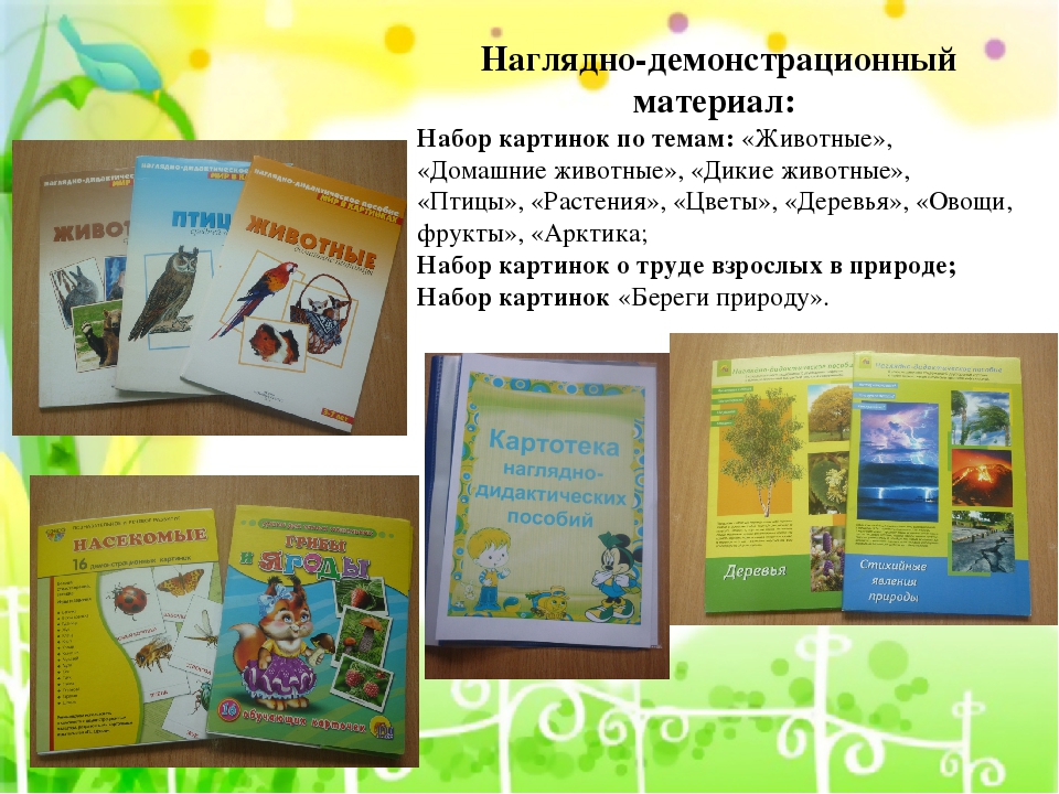 Презентация по экологическому воспитанию"Центр природы средняя группа"