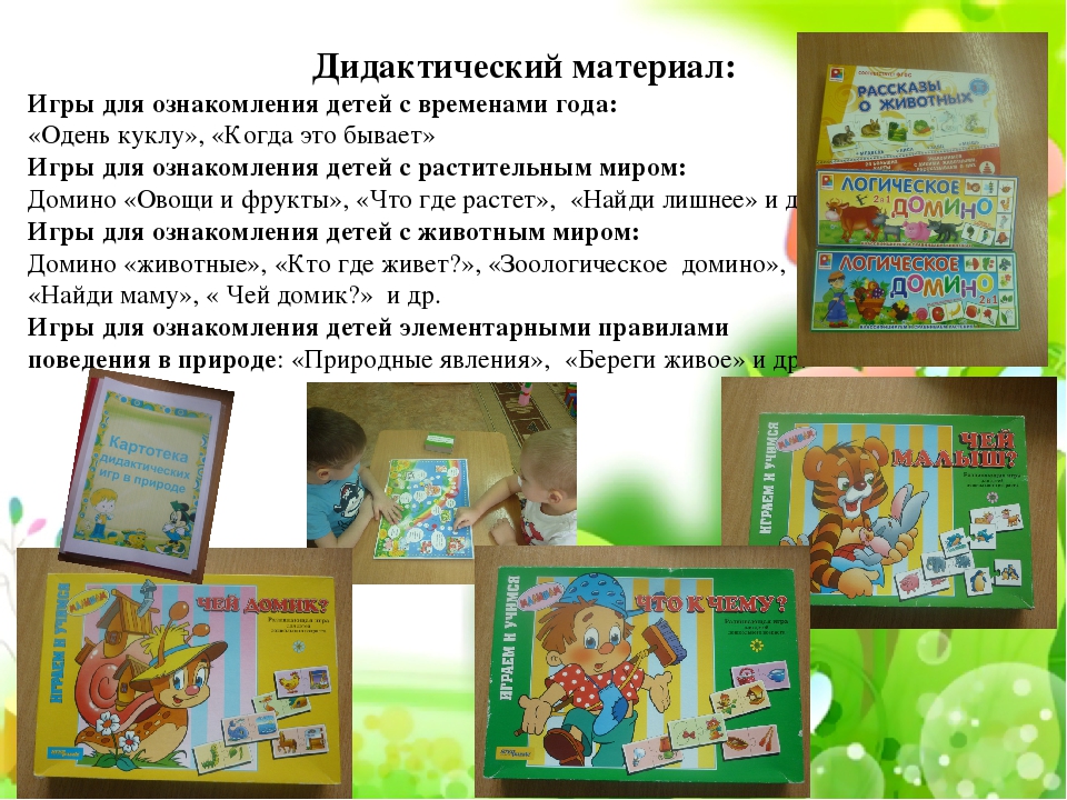 Презентация по экологическому воспитанию"Центр природы средняя группа"