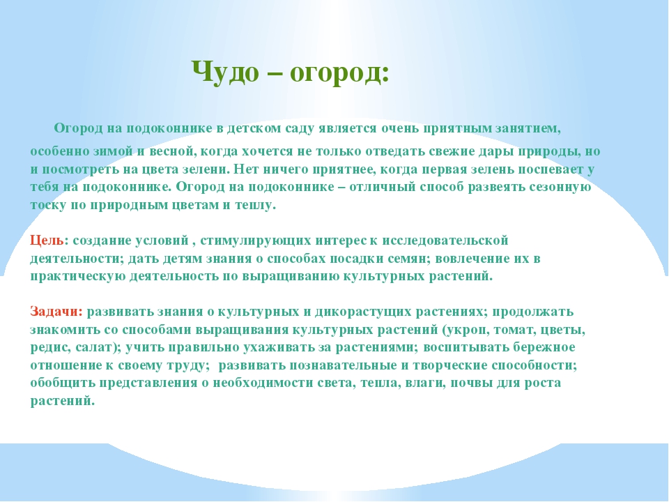 Презентация огорода на подоконнике в детском саду