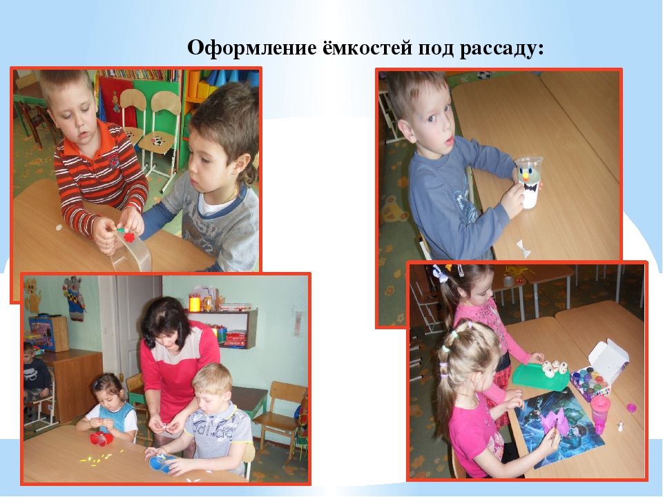 Презентация "Огород у нас хорош, всё, что хочешь здесь растёт"