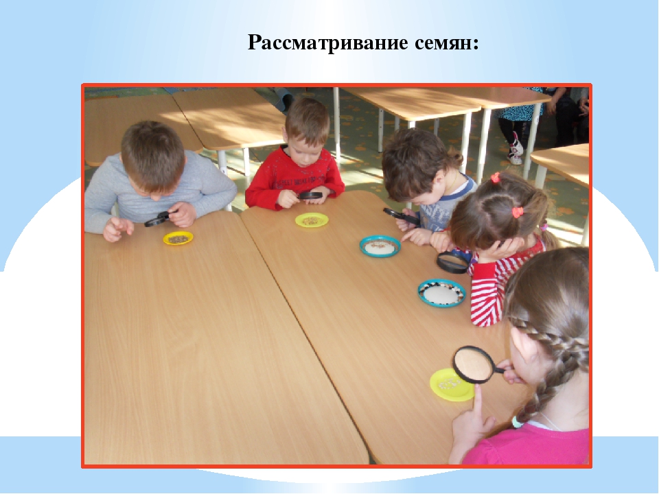 Презентация "Огород у нас хорош, всё, что хочешь здесь растёт"