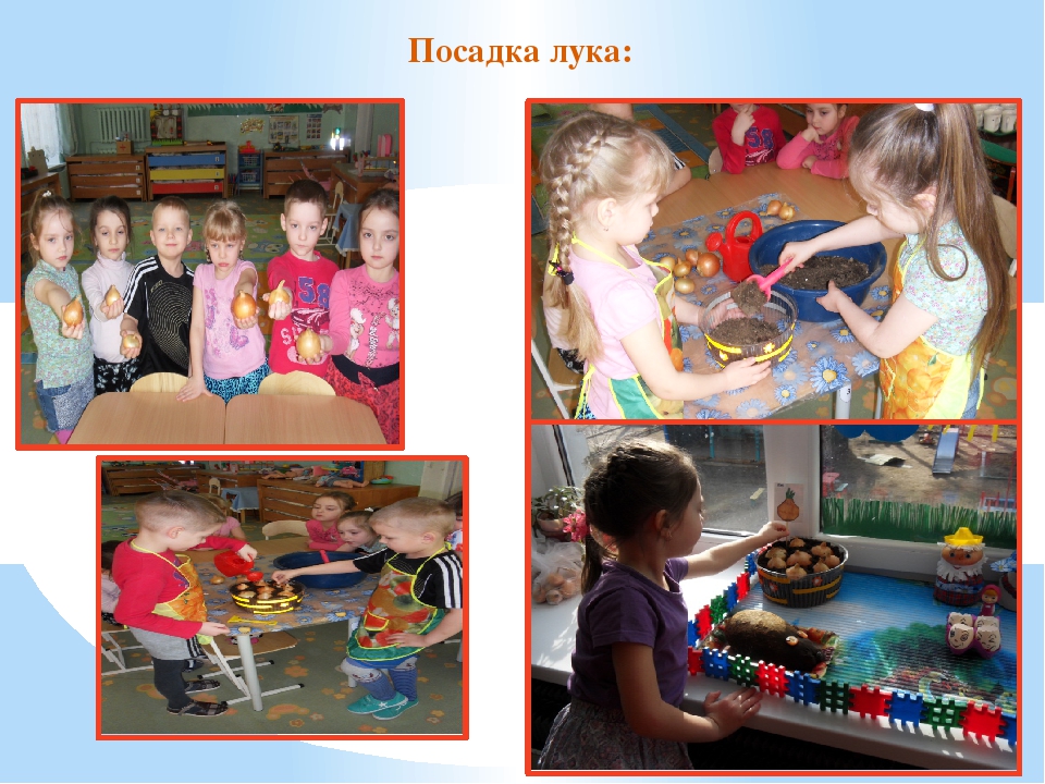Презентация "Огород у нас хорош, всё, что хочешь здесь растёт"