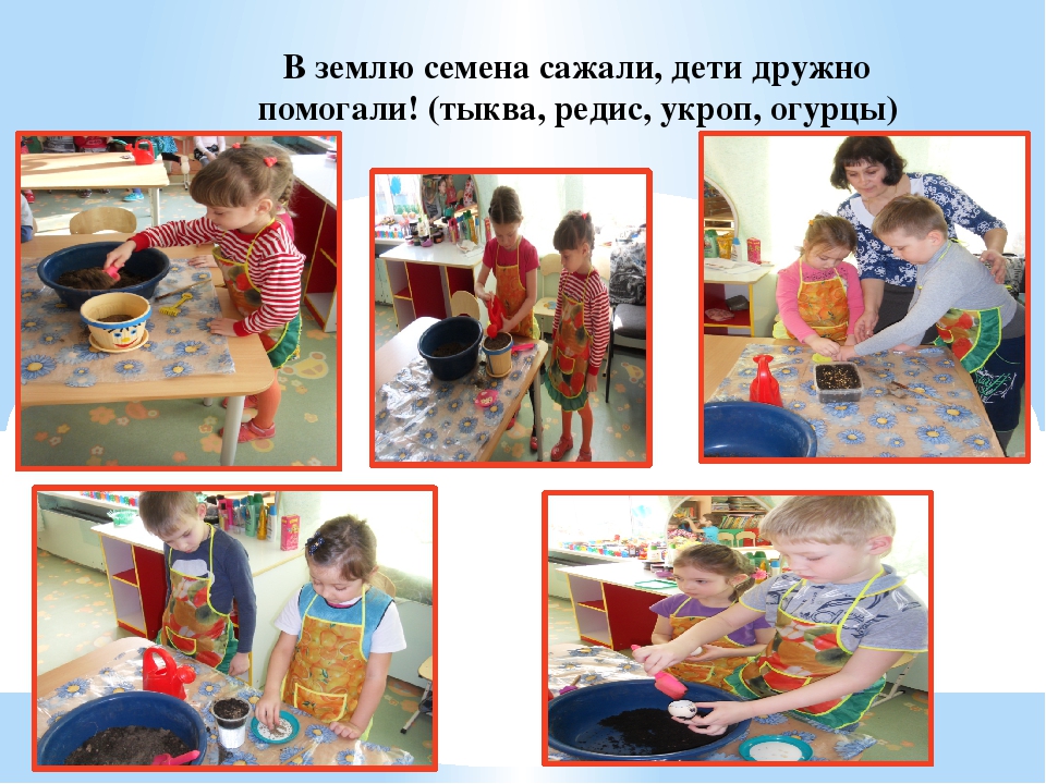 Презентация "Огород у нас хорош, всё, что хочешь здесь растёт"