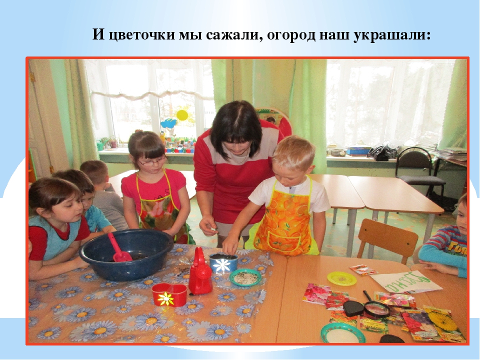 Презентация "Огород у нас хорош, всё, что хочешь здесь растёт"