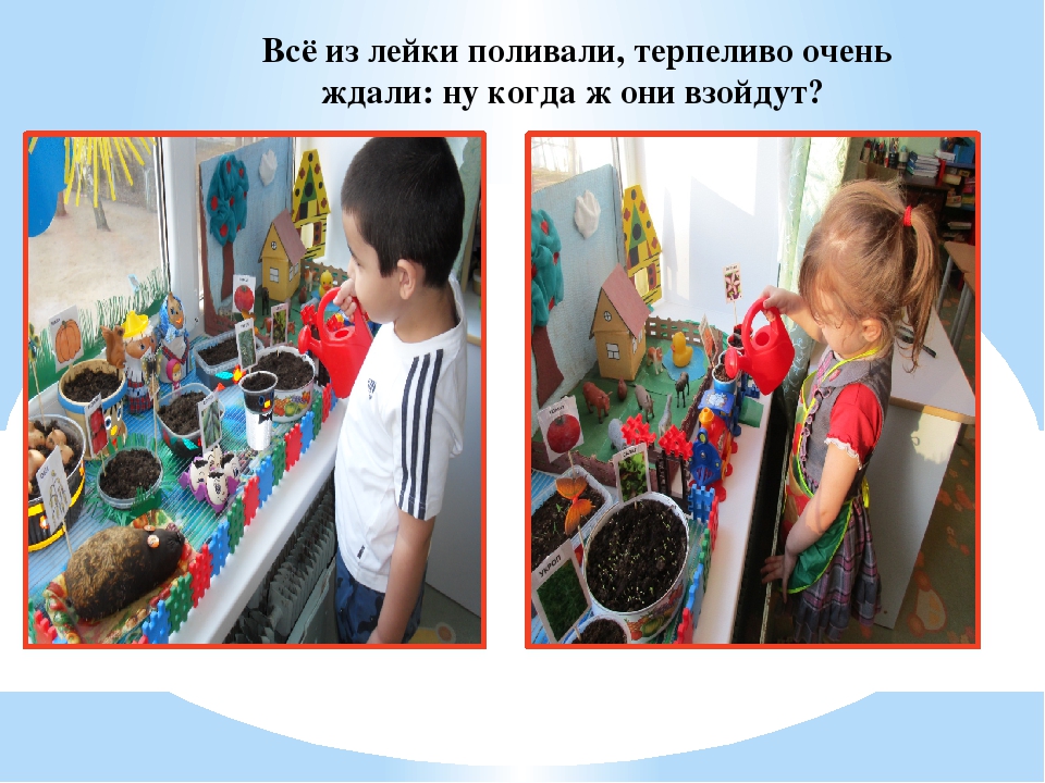 Презентация "Огород у нас хорош, всё, что хочешь здесь растёт"