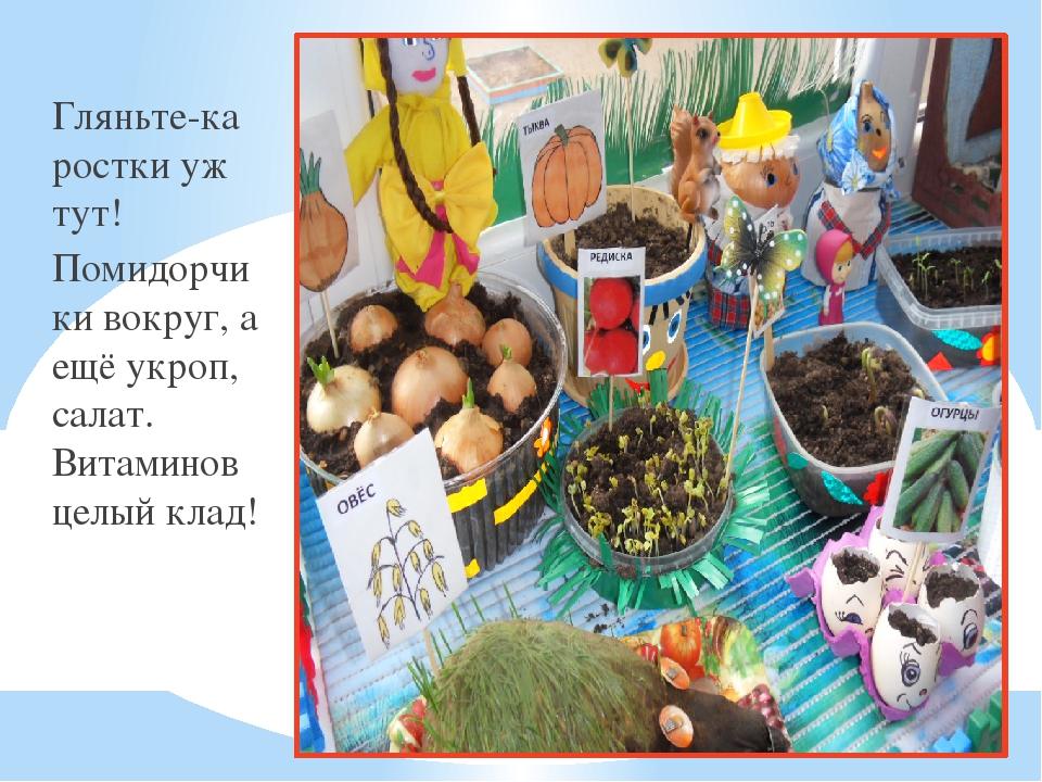 Презентация "Огород у нас хорош, всё, что хочешь здесь растёт"
