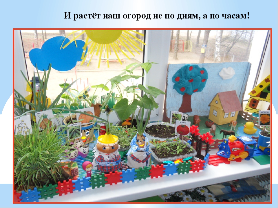 Презентация "Огород у нас хорош, всё, что хочешь здесь растёт"