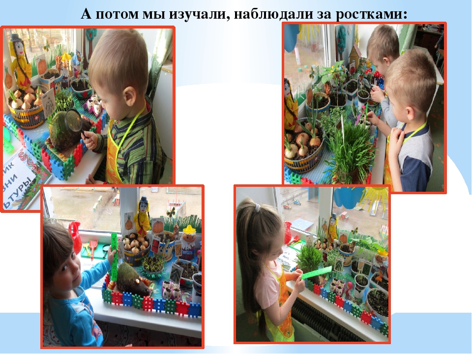 Презентация "Огород у нас хорош, всё, что хочешь здесь растёт"