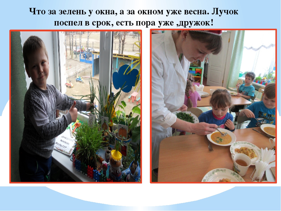 Презентация "Огород у нас хорош, всё, что хочешь здесь растёт"