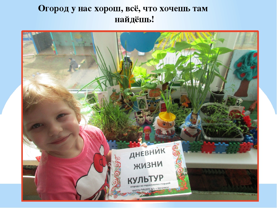 Презентация "Огород у нас хорош, всё, что хочешь здесь растёт"