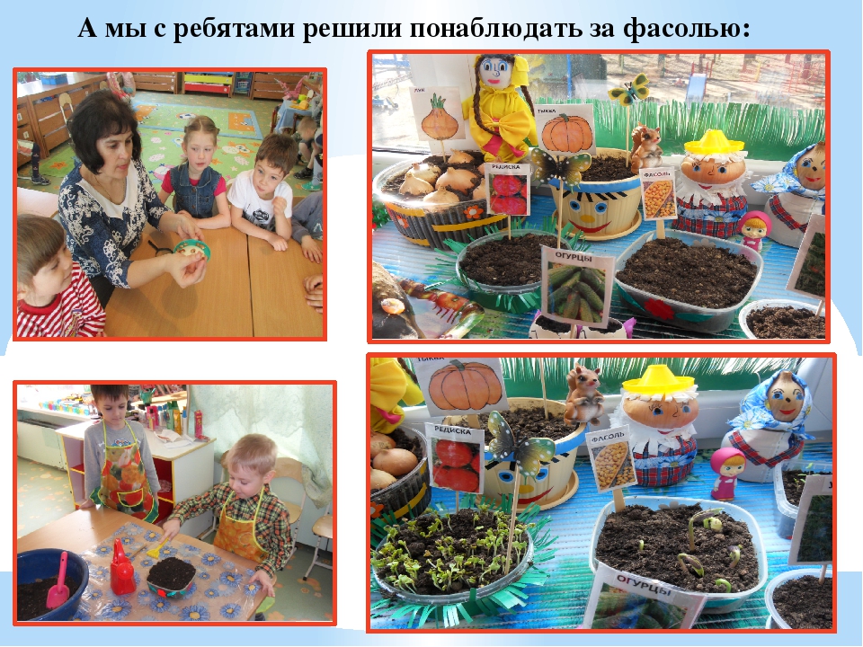 Презентация "Огород у нас хорош, всё, что хочешь здесь растёт"