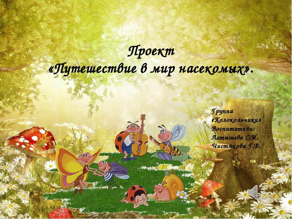 "Ознакомление с миром насекомых"