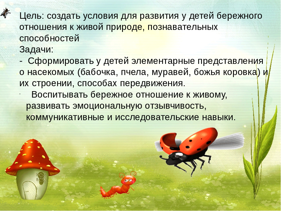 "Ознакомление с миром насекомых"