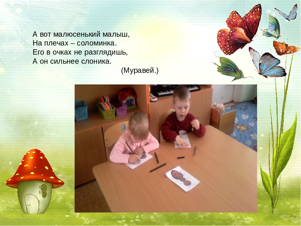 "Ознакомление с миром насекомых"