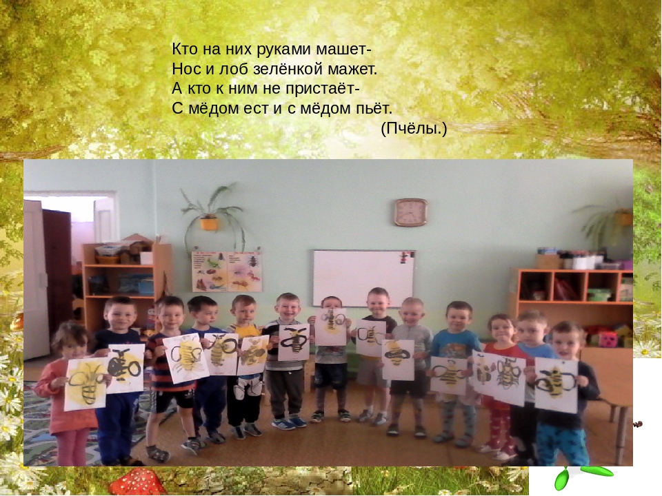 "Ознакомление с миром насекомых"