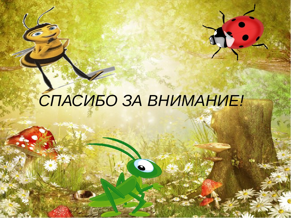 "Ознакомление с миром насекомых"