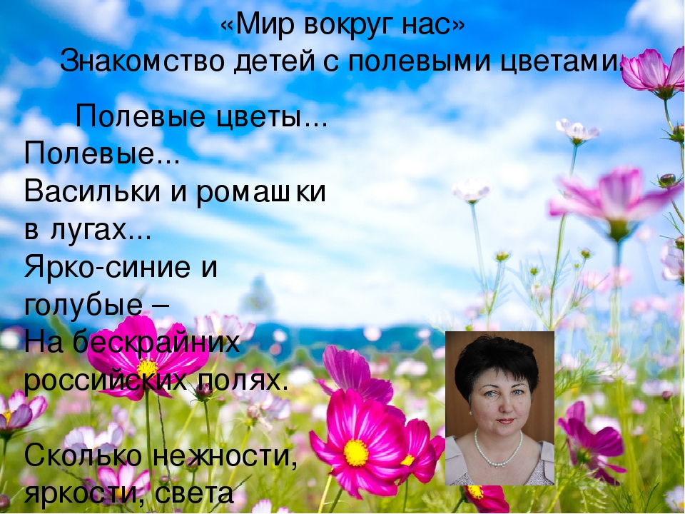 "Мир вокруг нас" Знакомство детей с полевыми цветами