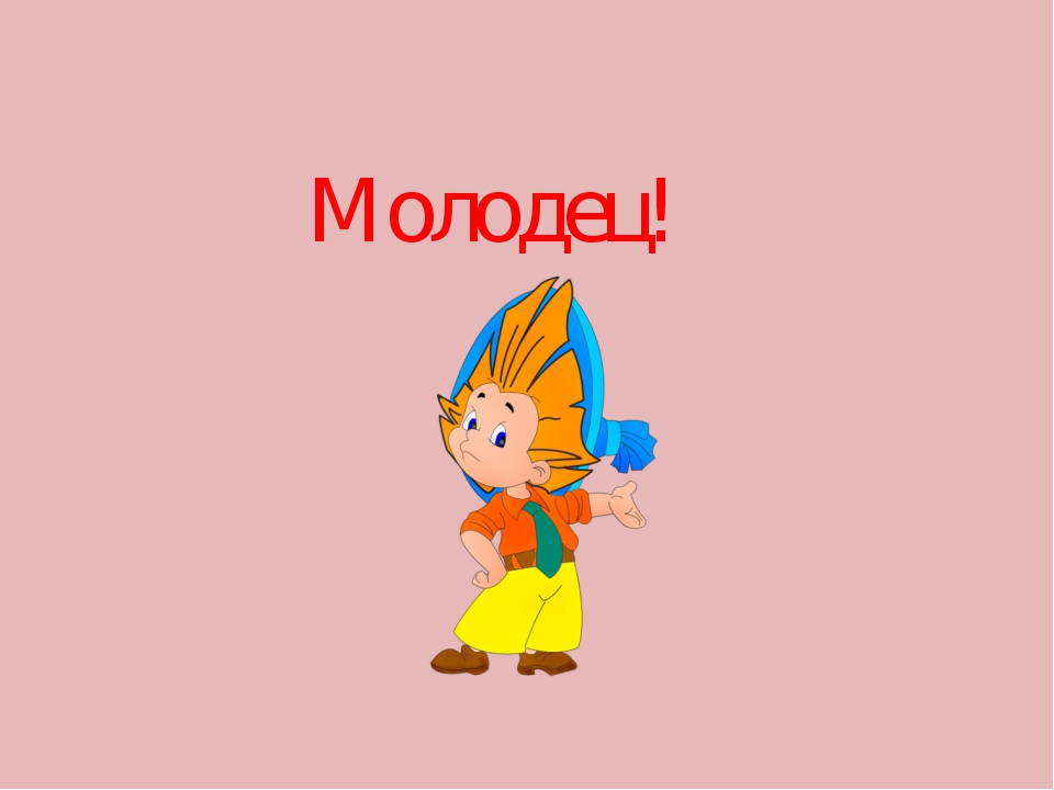 Презентация "Ориентировка на плоскости"