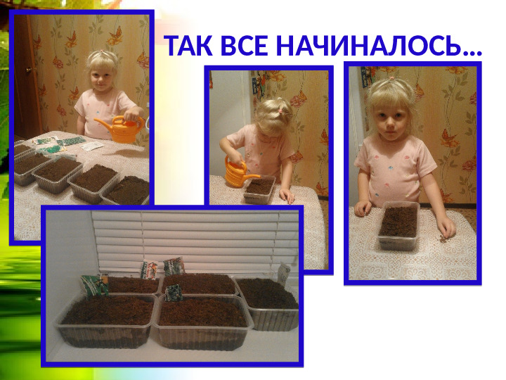Огород на окошке. Презентация
