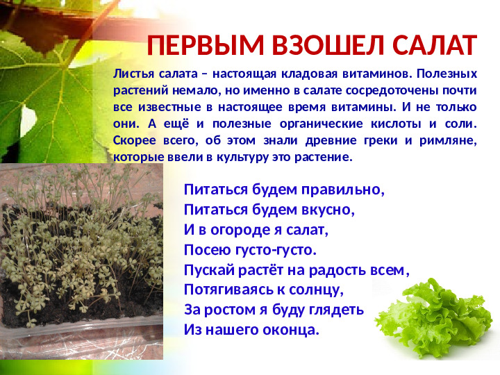 Огород на окошке. Презентация