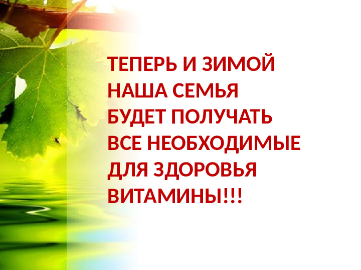 Огород на окошке. Презентация