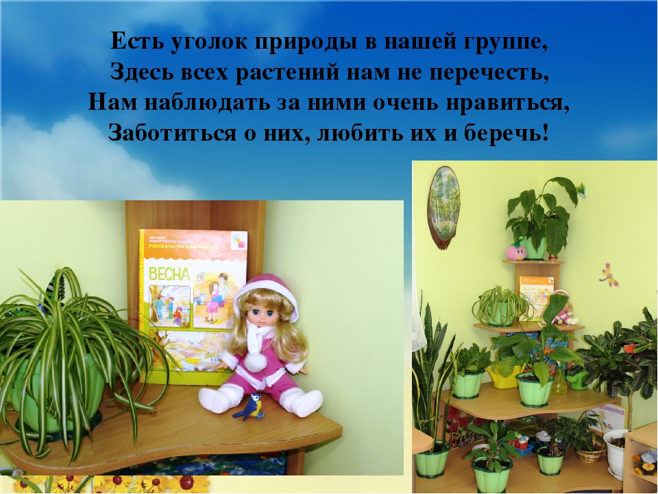 Презентация на тему "Моя группа"