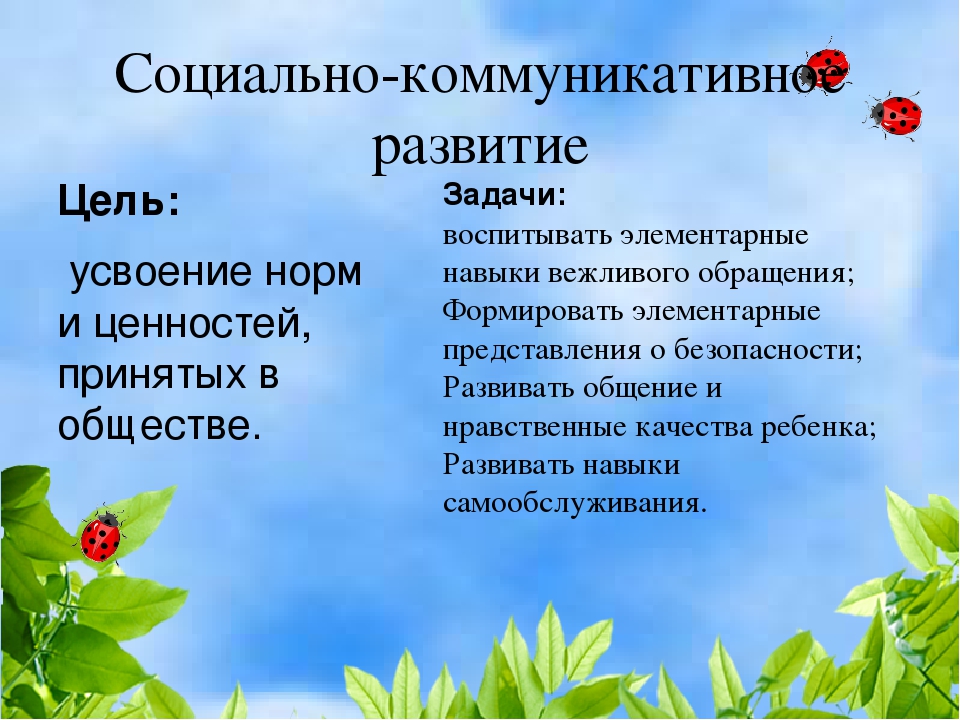 Презентация на тему итоги. Охраняемые растения Тамбовской области. Охрана природы Тамбовской области. Охрана природы проект. Красная книга. Задачи в охране растений.