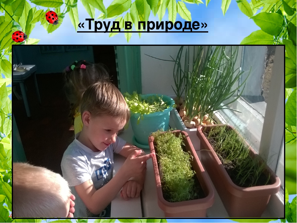 Презентация на тему "Итоги образовательной работы за год во 2 средней группе"