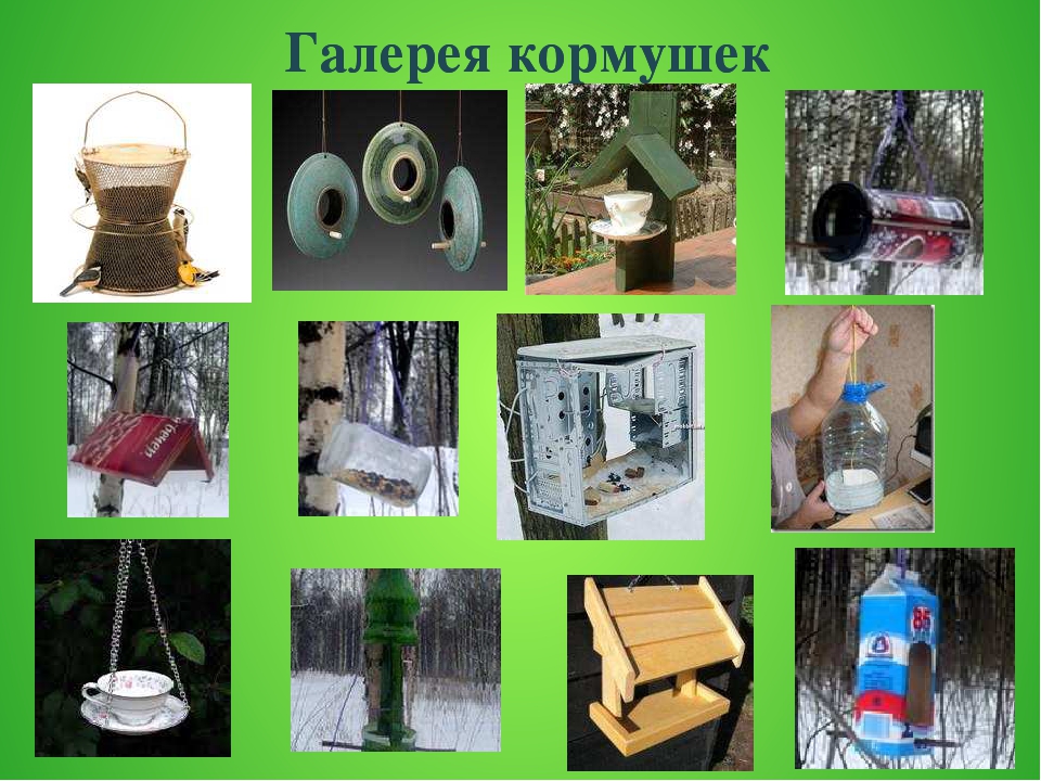 Презентация по окружающему миру в ДОУ "Зимующие птицы"