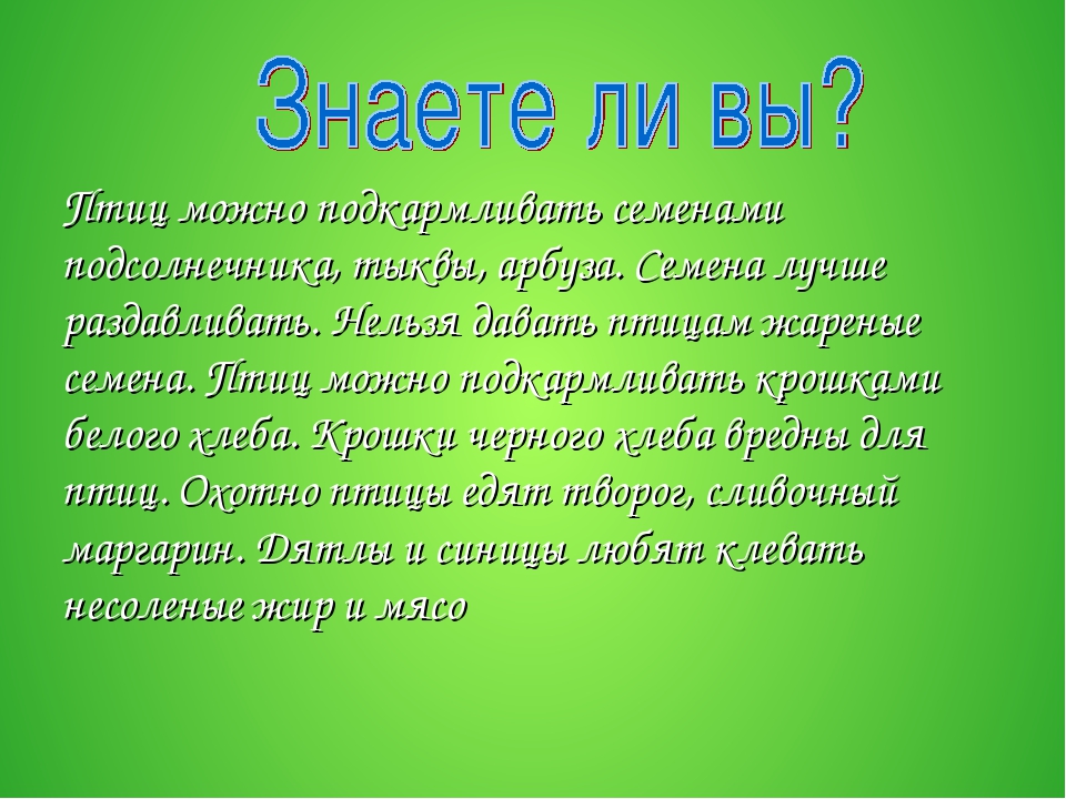 Презентация по окружающему миру в ДОУ "Зимующие птицы"