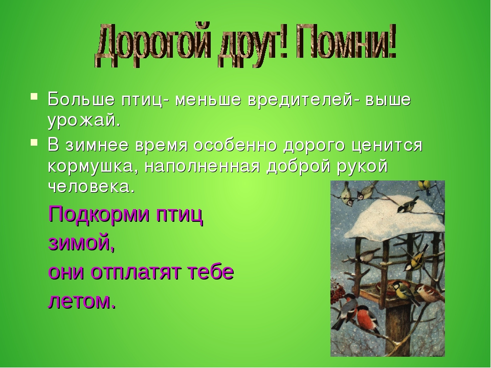 Презентация по окружающему миру в ДОУ "Зимующие птицы"