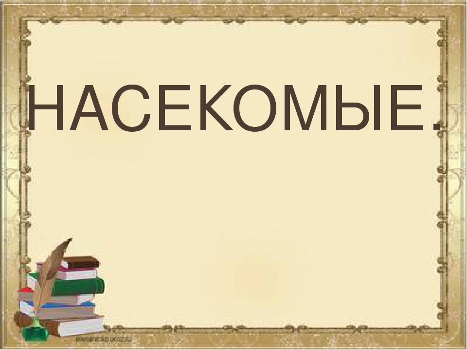 Презентация по экологии на тему"Насекомые"