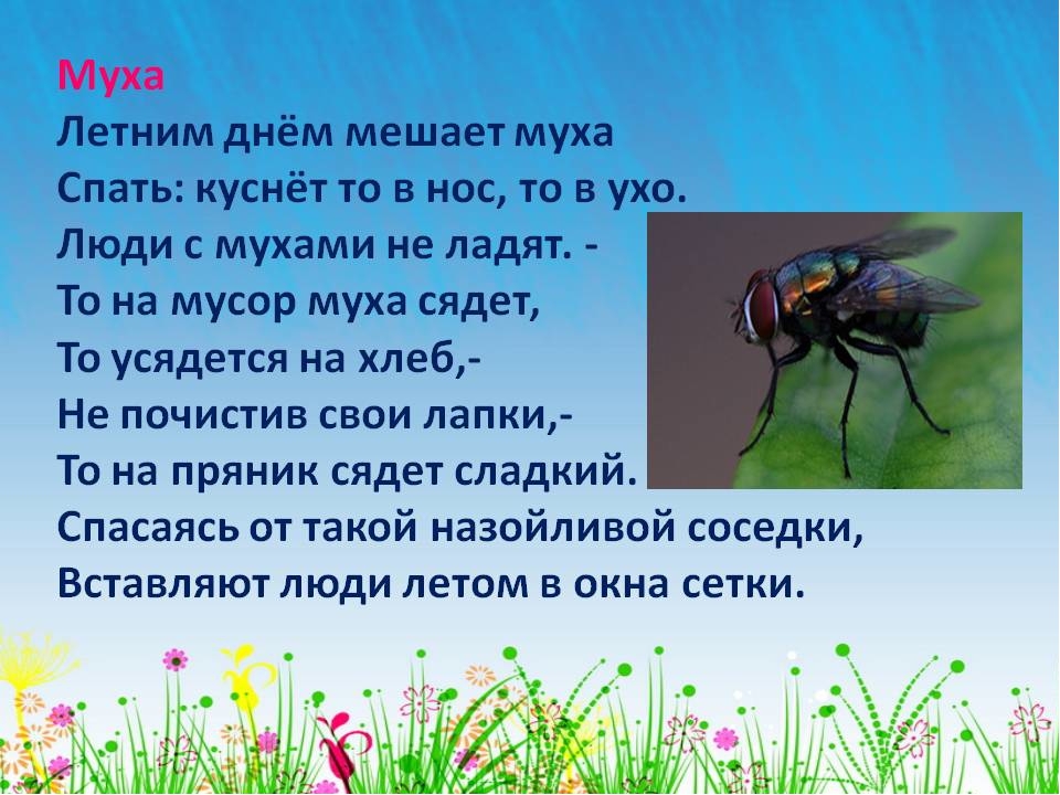 Презентация по экологии на тему"Насекомые"