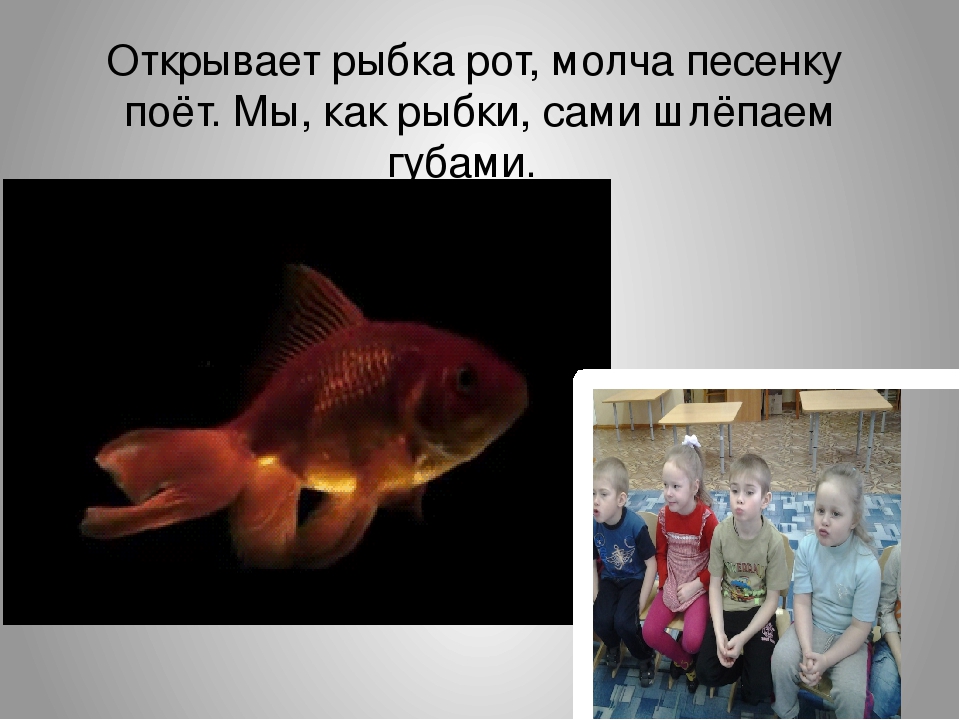 Презентация на тему "Артикуляционная гимнастика "Ребятки и зверятки".