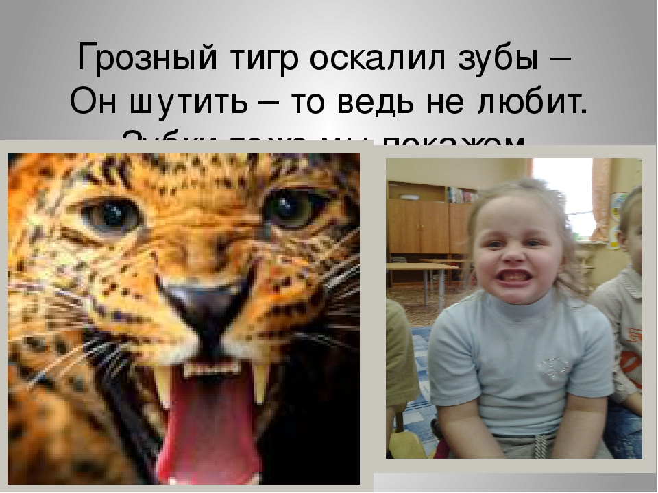 Презентация на тему "Артикуляционная гимнастика "Ребятки и зверятки".