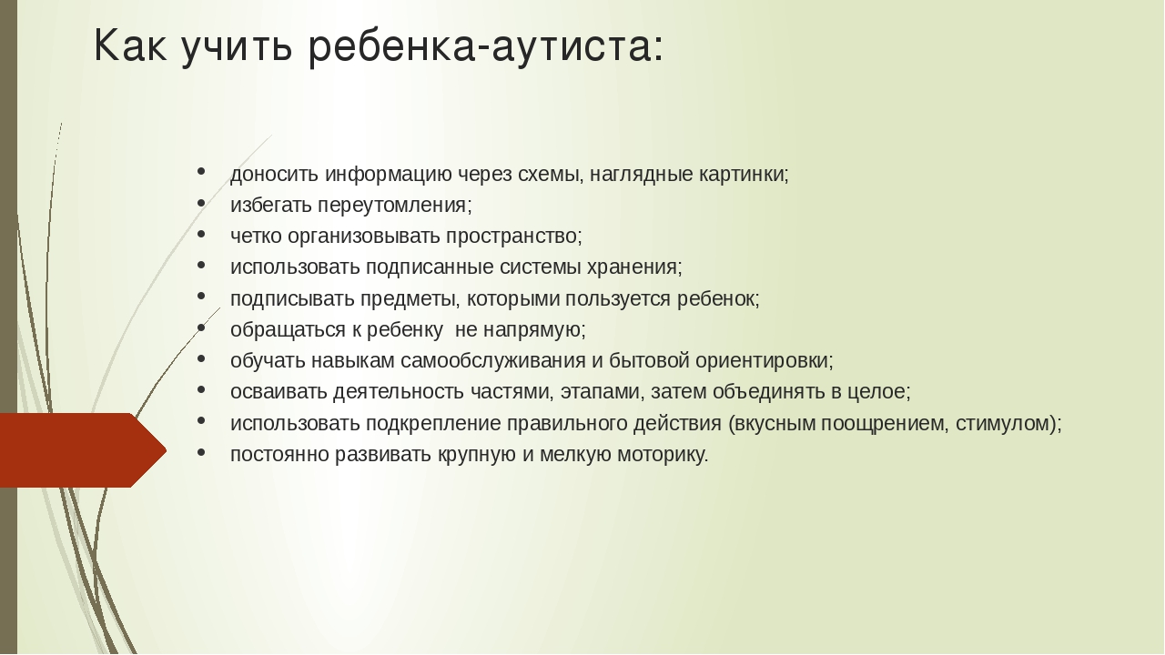 Схема обследования аутичного ребенка по е с иванову