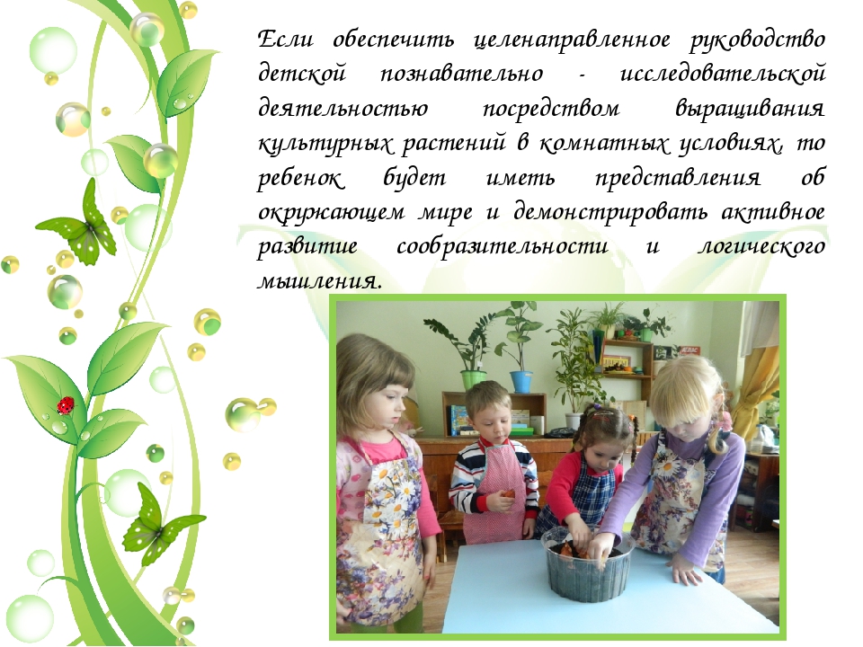 Презентация по экологическому воспитанию в ДОУ на тему: "Исследовательская работа "Огород на окне" (средний дошкольный возраст)