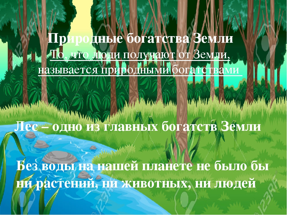 Презентация на тему "НАША - ПЛАНЕТА ЗЕМЛЯ"