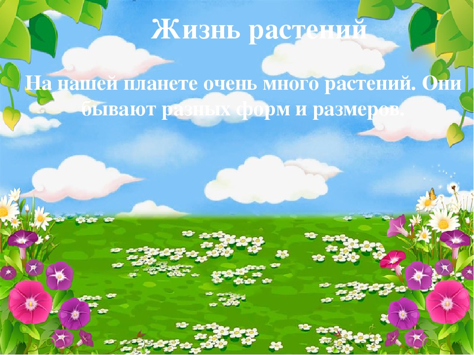 Презентация на тему "НАША - ПЛАНЕТА ЗЕМЛЯ"