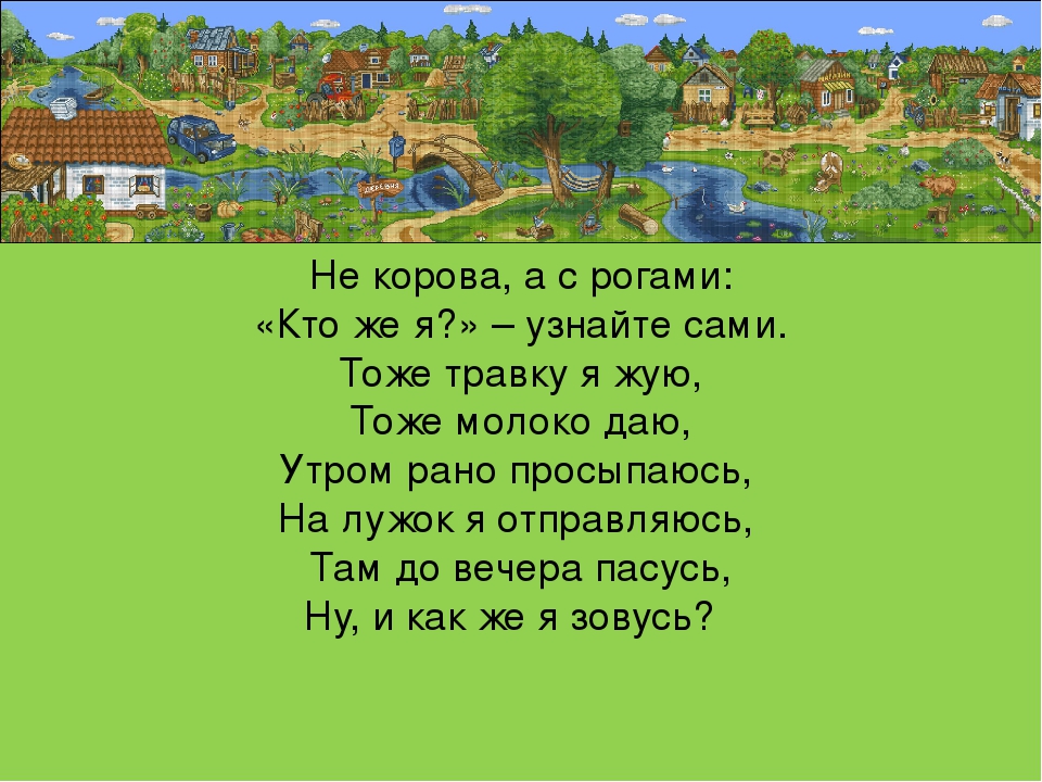 Презентация "Изучение с детьми домашних животных"
