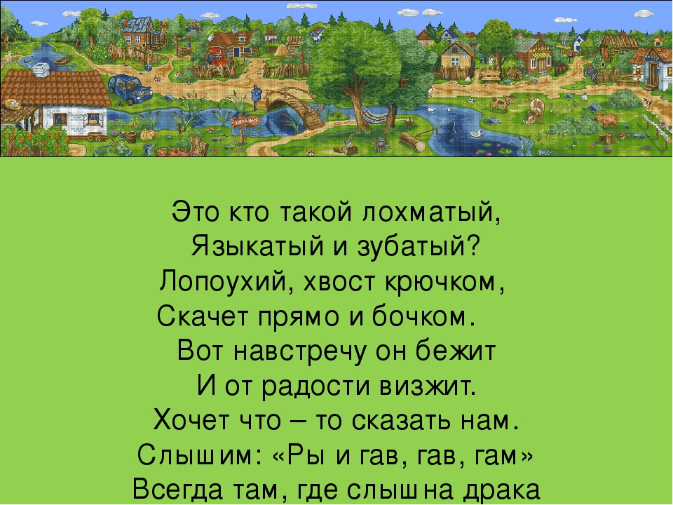 Презентация "Изучение с детьми домашних животных"