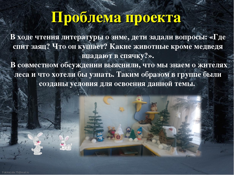 Презентация проекта "Тайны зимнего леса"
