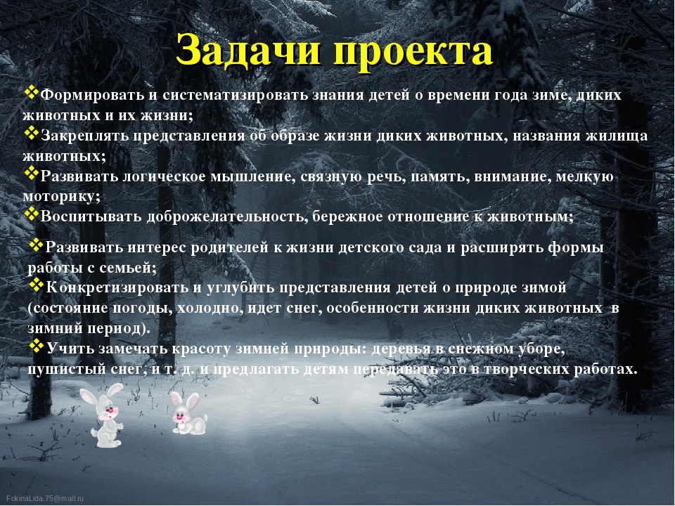 Презентация проекта "Тайны зимнего леса"