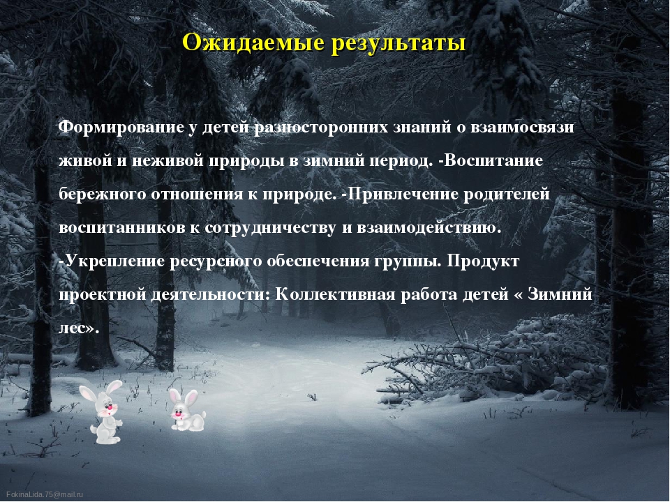 Презентация проекта "Тайны зимнего леса"