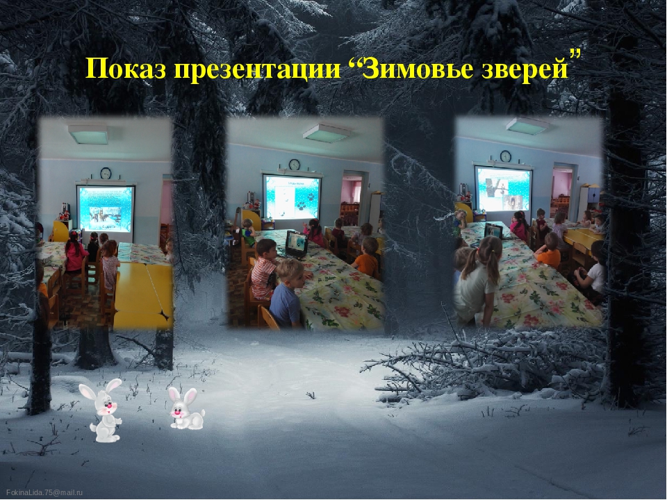 Презентация проекта "Тайны зимнего леса"