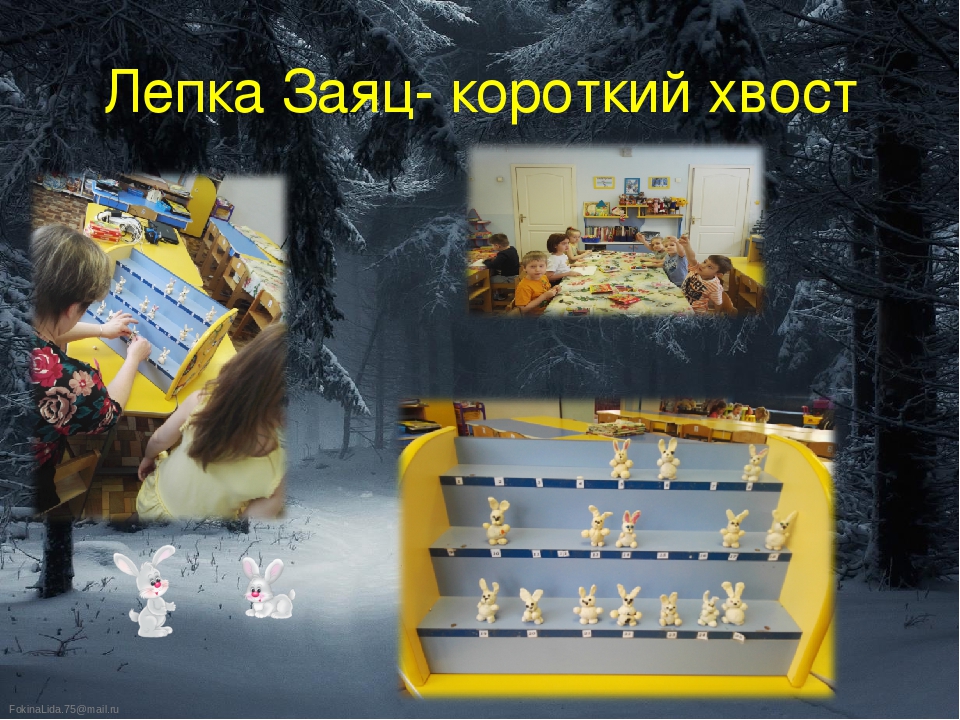 Презентация проекта "Тайны зимнего леса"