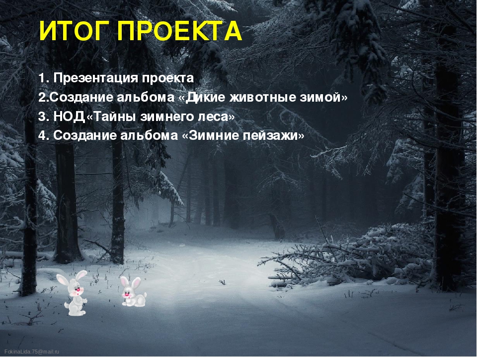 Презентация проекта "Тайны зимнего леса"