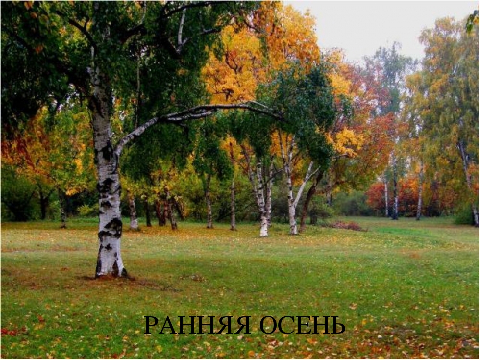 Презентация по окружающему миру "Экологическая тропа " (Осень)