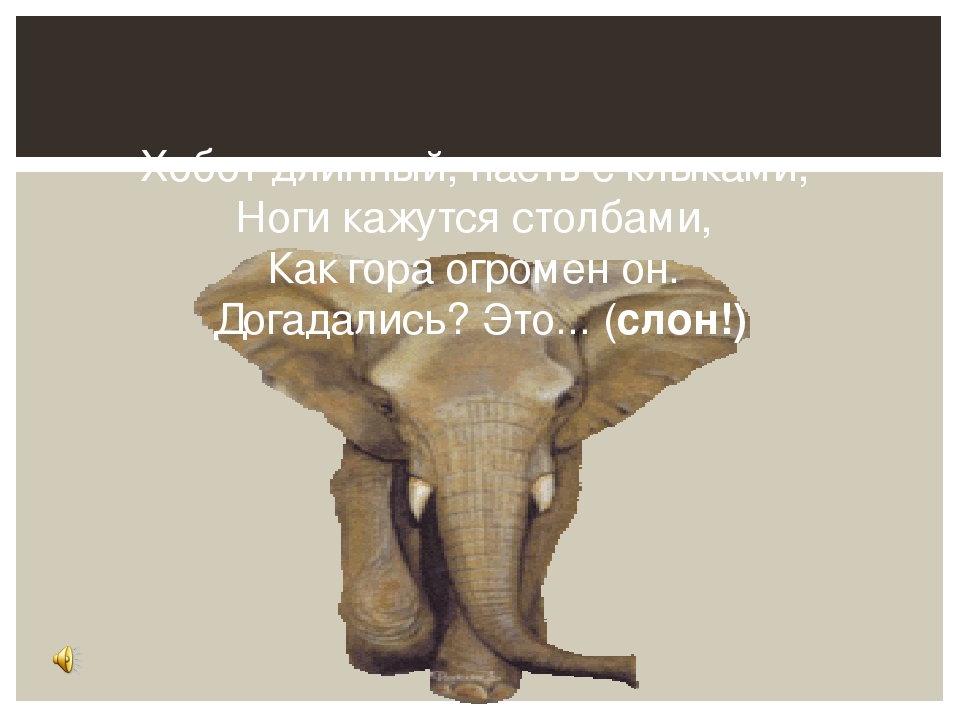 "Карнавал животных" Анимированная презентация. Цель: знакомство с музыкой К. Сен - Санса "Карнавал животных".